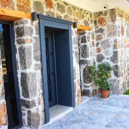 Vilă Stone House