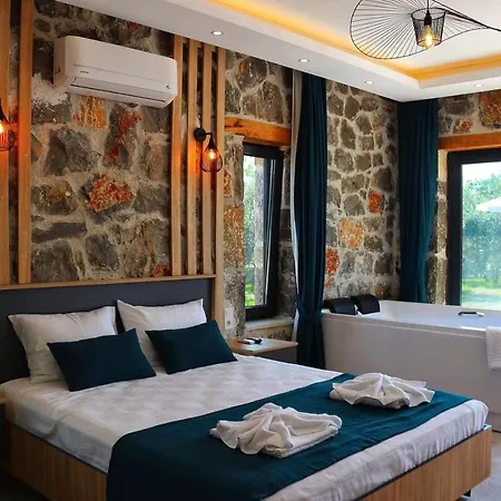Stone House 페티예